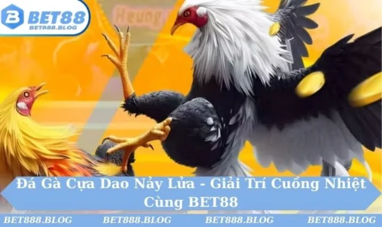 Đá Gà Cựa Dao Nảy Lửa - Giải Trí Cuồng Nhiệt Cùng BET88