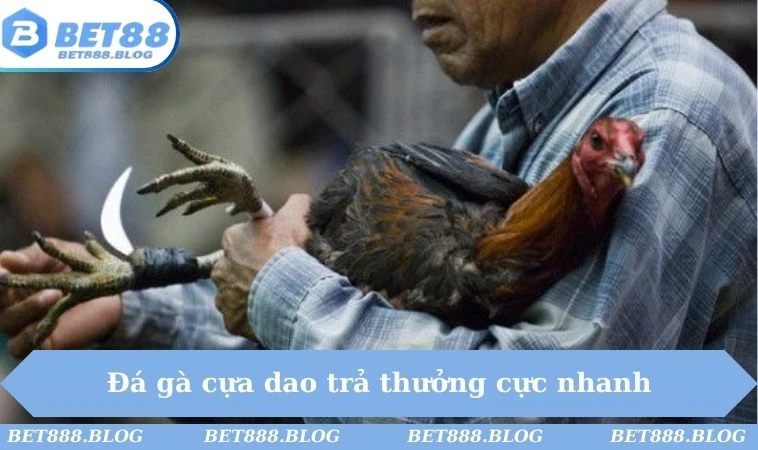 Đá gà cựa dao trả thưởng cực nhanh