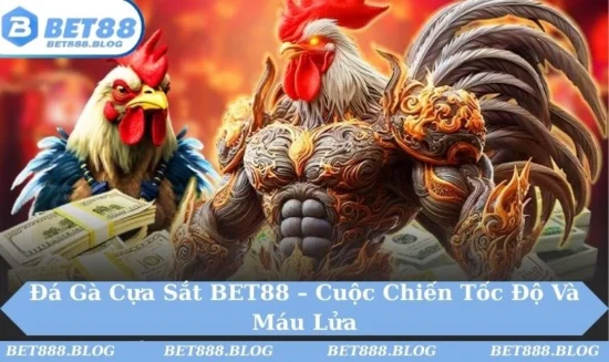 Đá Gà Cựa Sắt BET88 – Cuộc Chiến Tốc Độ Và Máu Lửa