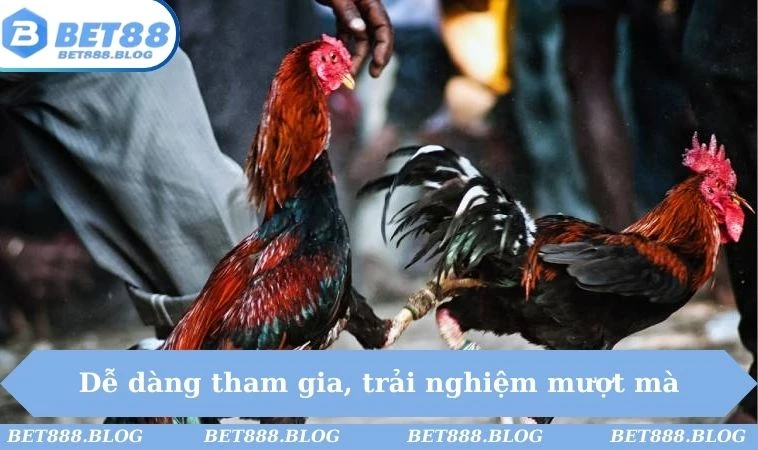 Dễ dàng tham gia, trải nghiệm mượt mà