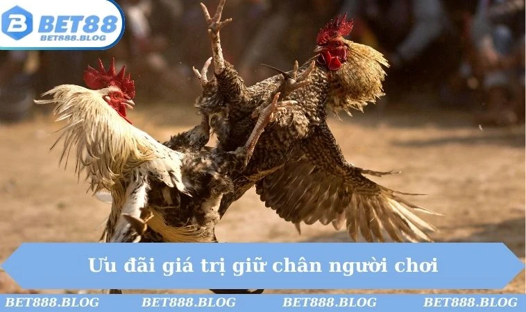 Ưu đãi giá trị giữ chân người chơi